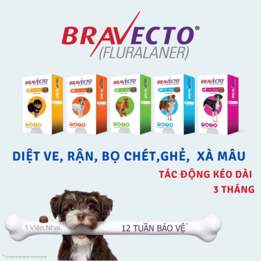 bravecto all product 1