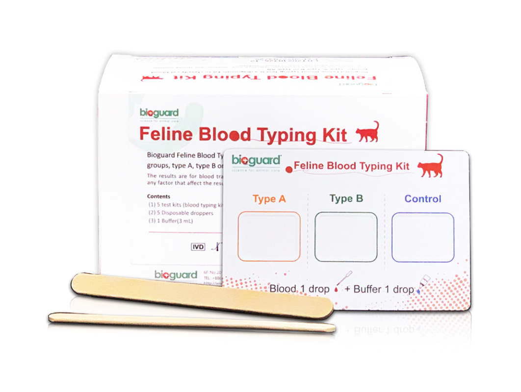 Test nhanh mèo Kit xét nghiệm nhóm máu cho mèo - Công Ty TNHH Thương ...